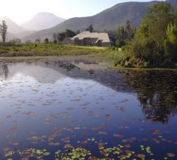 Kap Gebiet - Plateau Country House